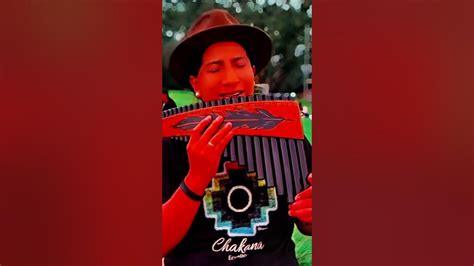 beto salazar|Can't Help Falling in Love: Beto Salazar's Live Performance .